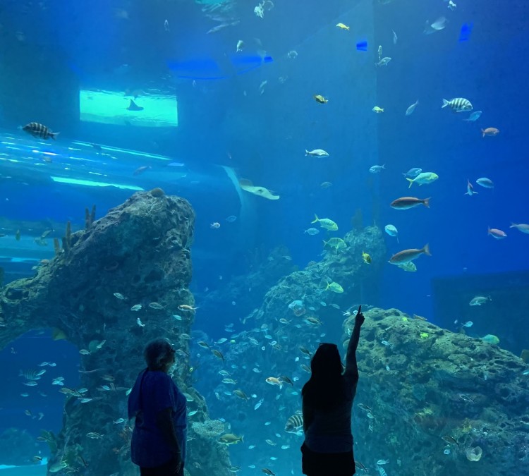 Mississippi Aquarium (Gulfport,&nbspMS)